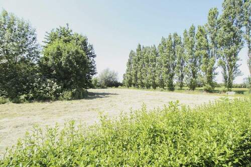 Grundstück als Kaufoption - 