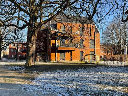 Winterliche Eindrücke - 