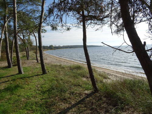 Hausstrand Palmer Ort - 