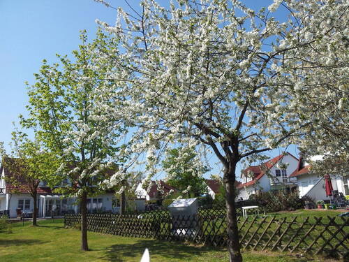 Blick von der Terrasse - 5 Zimmer Doppelhaushälfte zum Kaufen in Garz/Rügen