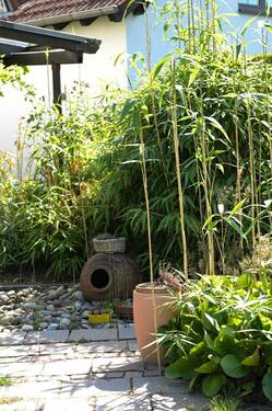 Gartenidylle mit altem Baumbestand - 
