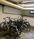 Fahrradkeller - 