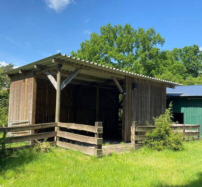 Bild 3 - 5 Zimmer Bauernhaus, Landhaus in Schneverdingen Wintermoor