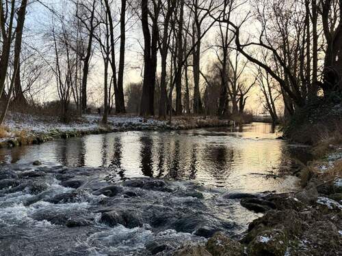 Fehlbach - 