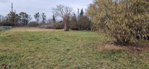 Ansicht von der Straße - unbebautes Grundstück in Wustermark OT Priort, Am Moorbruch 7