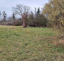 unbebautes Grundstück in Wustermark OT Priort, Am Moorbruch 7