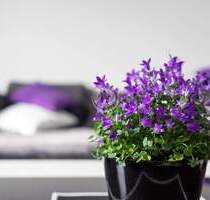 !!! ImmoPoint !!! (5) 6-Familienhaus in TOP LAGE !!! (IP V 6 CK 210) - Hagen Hohenlimburg