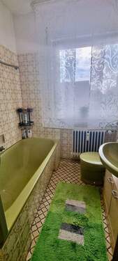 20260224_150929.jpg - 