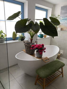 Bild 21 - 