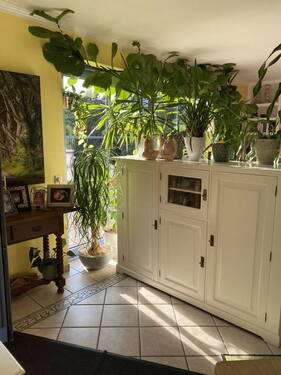 Bild 6 - 