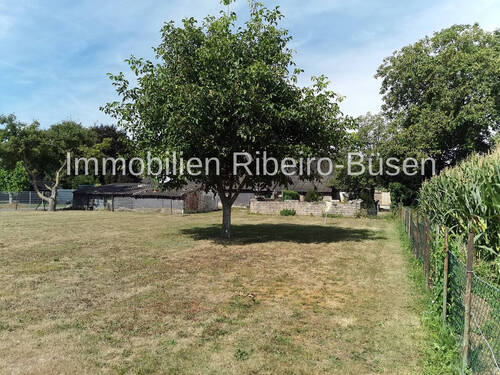 der Garten - 