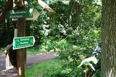 Umgebung Wanderwege - 