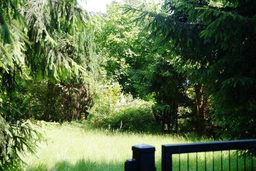 Grundstück vorderer Bereich - Grundstück in Bad Saarow