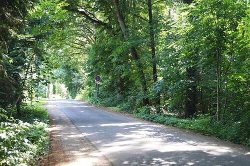 Anliegerstraße - 