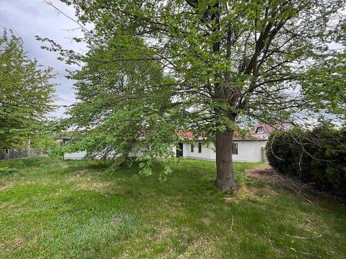 Grundstück - 5 Zimmer Einfamilienhaus in Radeberg / Ullersdorf bei Radeberg