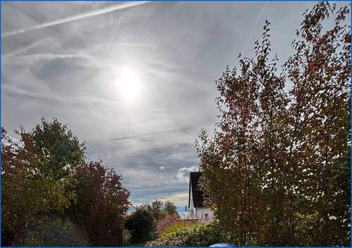 Aussicht vom Haus aus - 