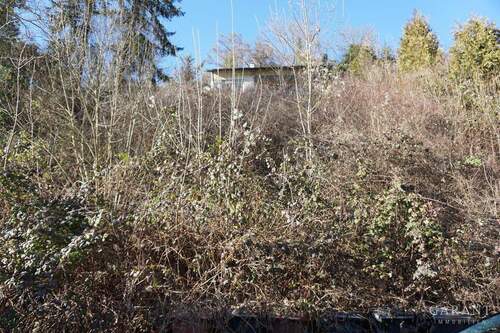 Bauplatz - Träumen Sie nicht länger von Ihrem Traumhaus - bauen Sie es jetzt in Horb am Neckar!