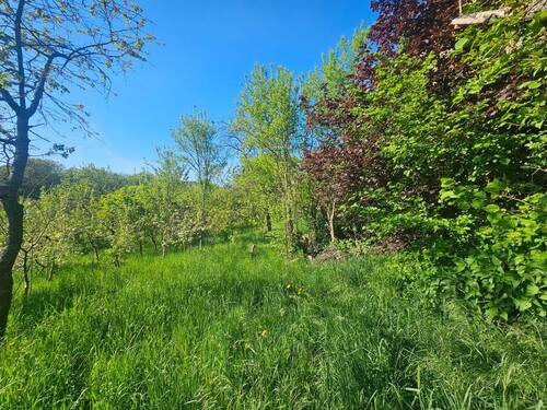 Blick vom Obstbaumgarten - Grundstück in Grävenwiesbach