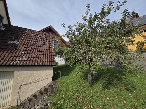 Garten mit Obstbäumen - 