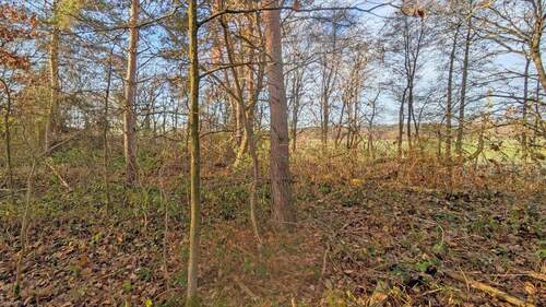 Blick Richtung Wiesengrund - Grundstück in Erlangen