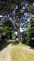 Nord Ansicht - 