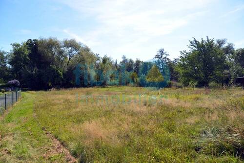 Blick Richtung GS 4 - Attraktive Baugrundstücke im idyllischen Haselbach - familienfreundlich und flexibel bebaubar