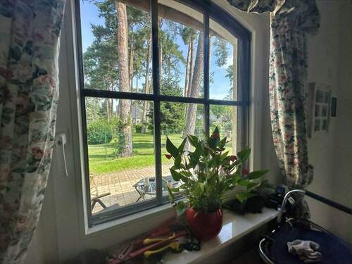Rundbogenfenster - 