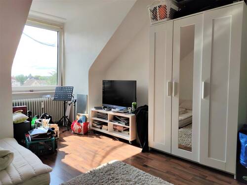 Zimmer Links - 