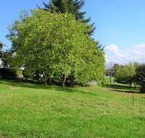 Großes Grundstück in ruhiger, verkehrsgünstiger Lage im Grünen - Flieden Struth