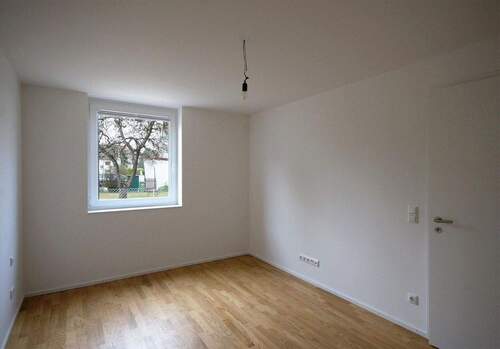 Eltern - 