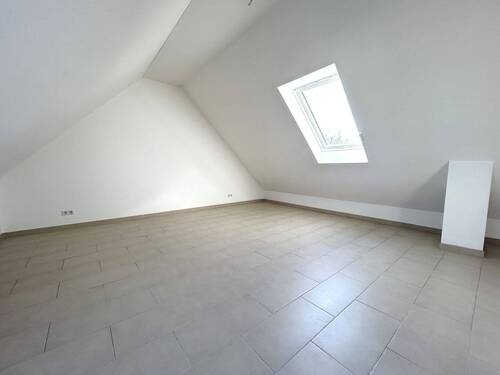 Dachstudio - 