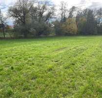 landwirtschaftliche Grundstücke in Großkarolinenfeld - Rosenheim Aising