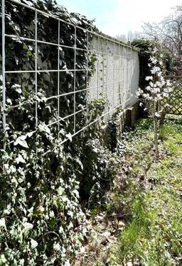 Hinter der Gartenmauer - 