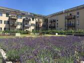Blick in den Innenhof - 