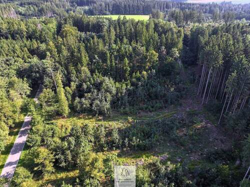 waldverkauf-ingolstadt_37.jpg - 