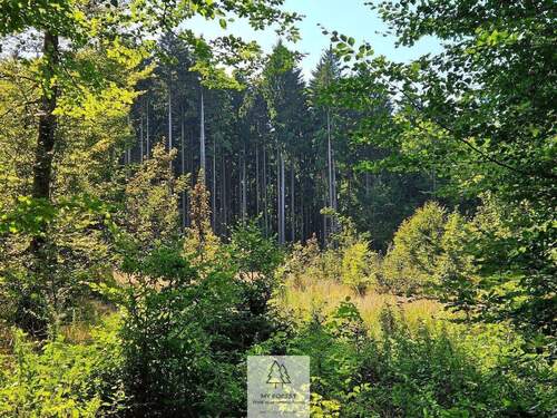 waldverkauf-ingolstadt_02.jpg - 