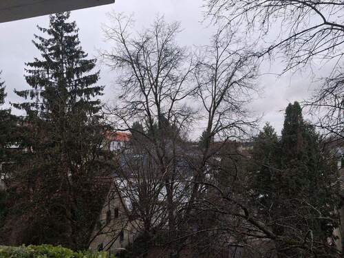 Blick vom Balkon - 