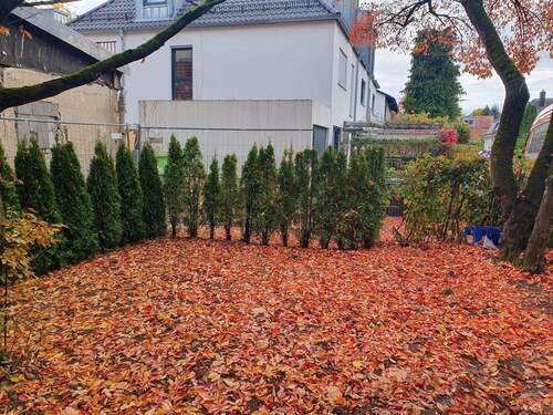 Gemeinschaftsgarten - 