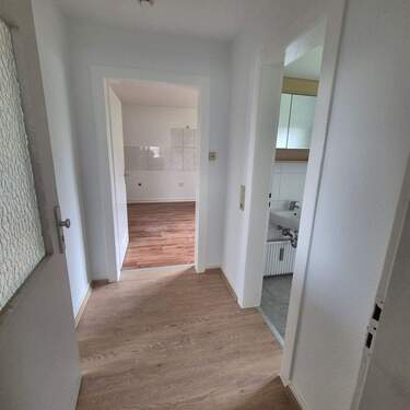 20251008_144559_resized.jpg - 