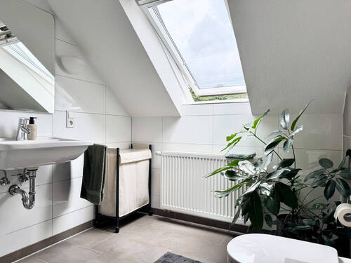 Bild 19 - 