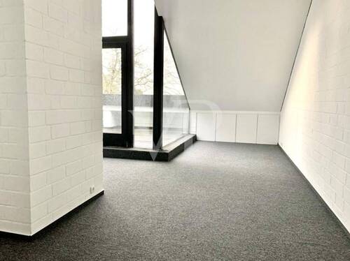 DG mit Studio - 