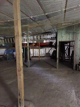 IMG-20220905-WA0006 - 