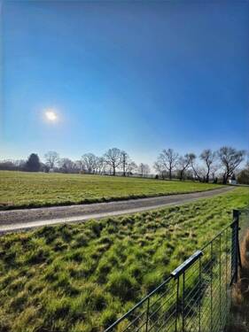 Blick in die Ferne - 