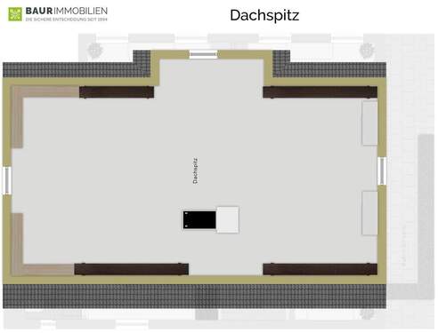 Dachspitz - 