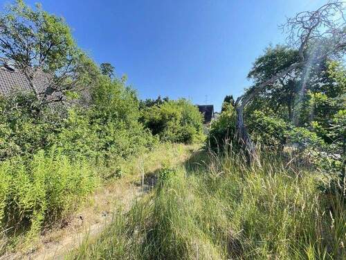 Garten/Bauplatz - 7 Zimmer Mehrfamilienhaus, Wohnhaus in Lauf