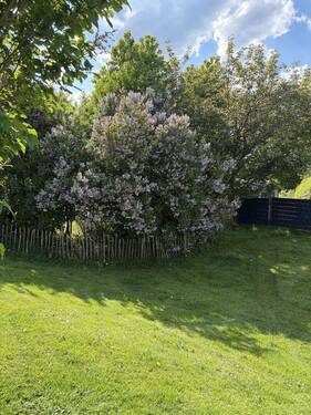 Bild 17 - 