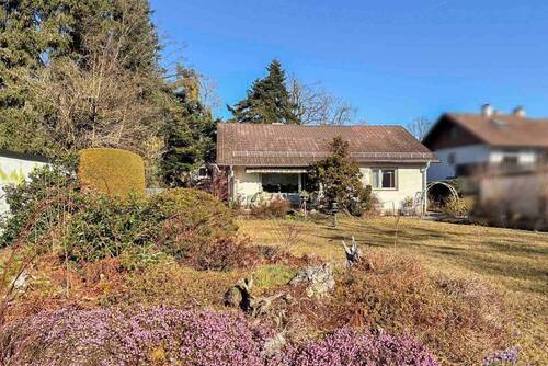 Garten + Altbestand - 