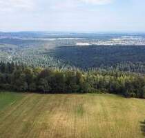 Panorama-Weitblick für kleines Budget - Bad Herrenalb Neusatz