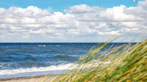 Bild 18 - 