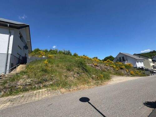 Grundstück - Grundstück zum Kaufen in Franzenheim